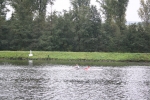 RCB_Regatta-Wetter_2009_152