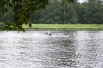 RCB_Regatta-Wetter_2009_211