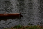 RCB_Regatta-Wetter_2009_261